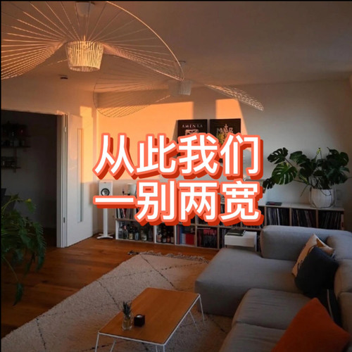 从此我们一别两宽