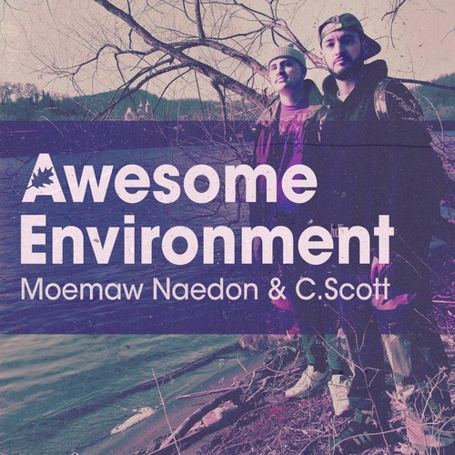 Awesome Environment (Explicit)