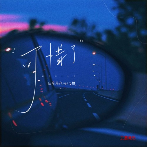 可惜了（DJ版）