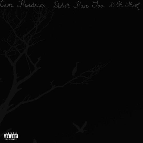 Didn't Have Too (Explicit)
