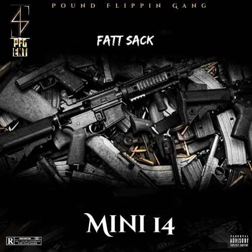 Mini 14 (Explicit)