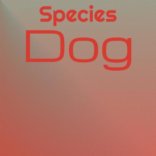 Species Dog