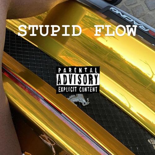 Stupid Flow (Explicit)