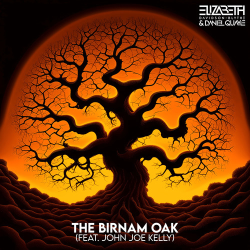 The Birnam Oak (feat. John Joe Kelly)