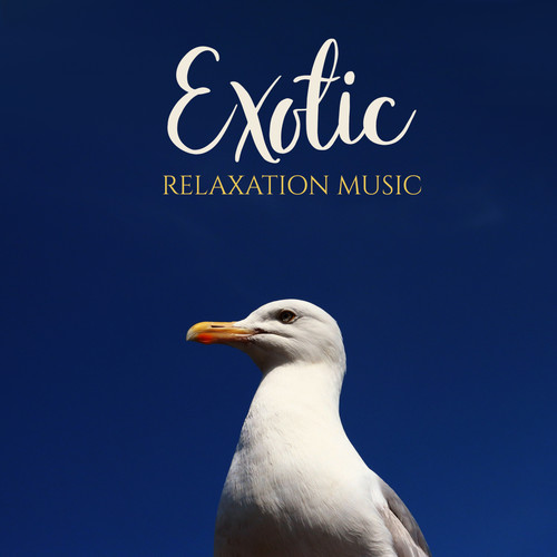 Exotic Relaxation Music