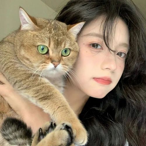 3D耳疗 | 助眠解压深夜放送