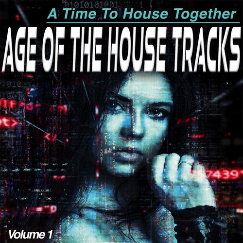 Age of the House, Vol.1 - a Time to House Together