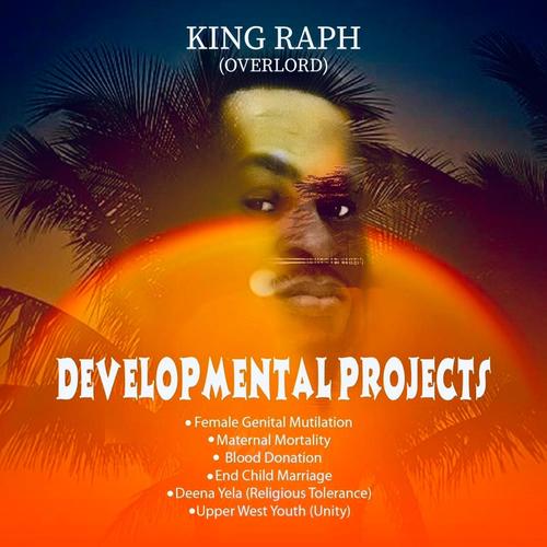 THE DEVELPOMENTAL PROJECTS