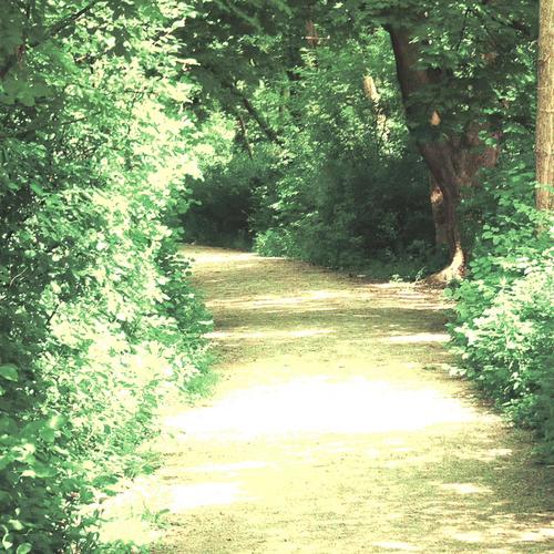 THE DAY I SAY GOOD BYE