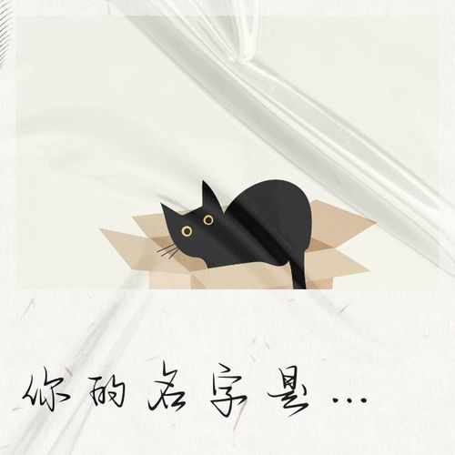 你的名字是铠甲