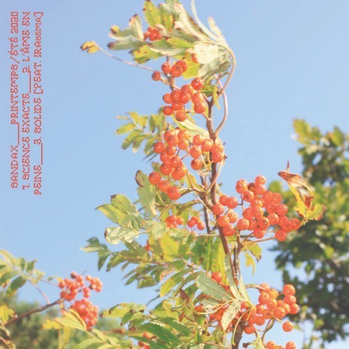 Printemps / Été 2020