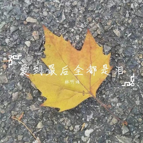 爱到最后全都是泪