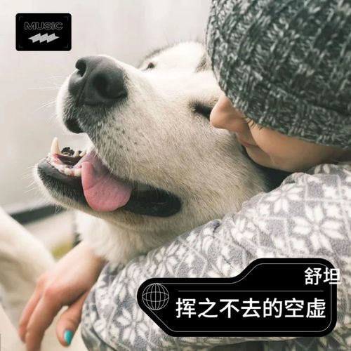 挥之不去的空虚