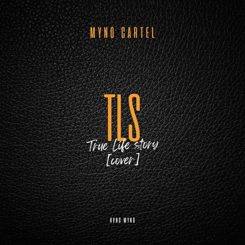 True Life Story (feat. Jeriq) [Cover] [Explicit]