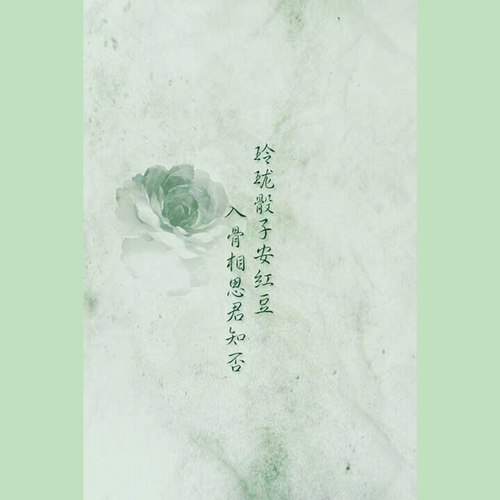 十三月凉（翻唱）