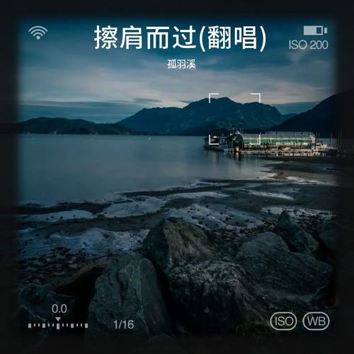 擦肩而过(翻唱)