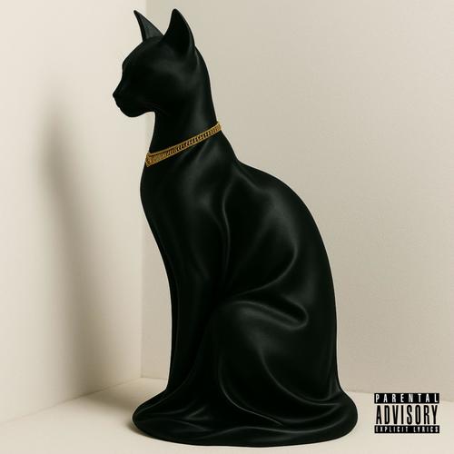 Cat Coded (Explicit)