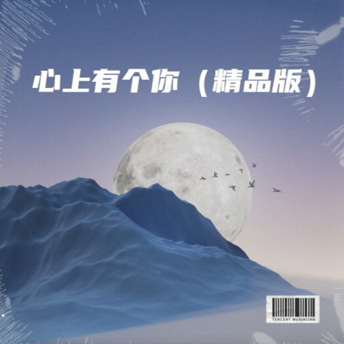 心上有个你（精品版）