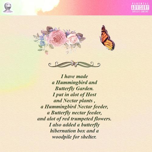 Butterflies (Explicit)