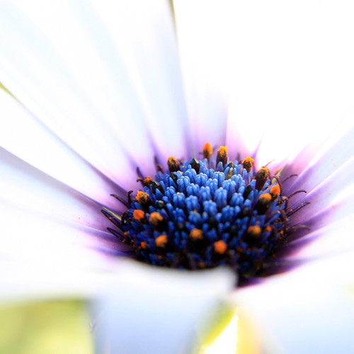 钟无艳（戏腔版）