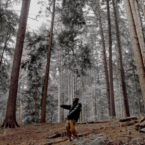 WOODS (feat. Kembe X) [Explicit]