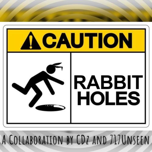 RABBIT HOLES