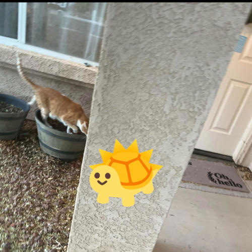 тирә-яҡ мөхит альбомы, ике мең егерме ике .