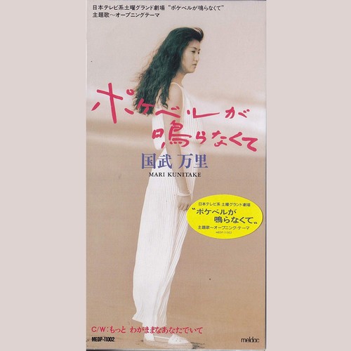 ポケベルが鳴らなくて