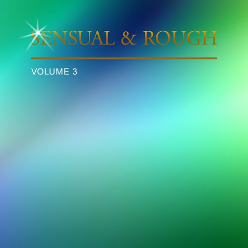 Sensual & Rough, Vol. 3