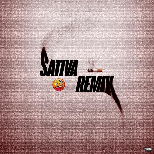 Sativa (Remix) [Explicit]