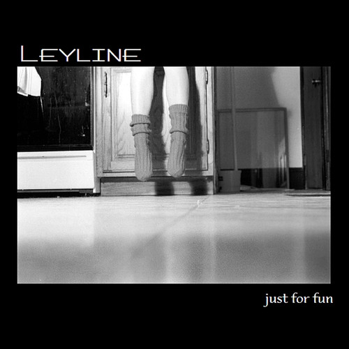 Just For Fun (Explicit)