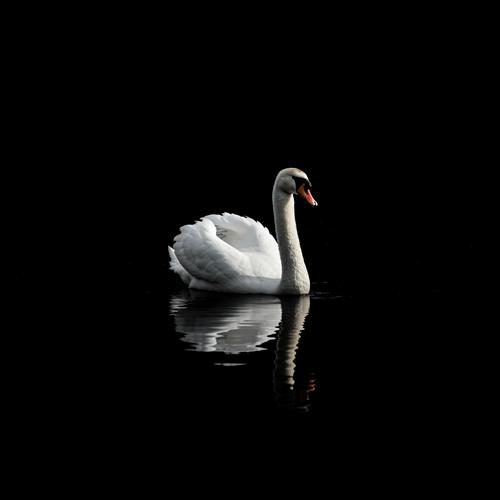 20 Karat (Demo) [Explicit]