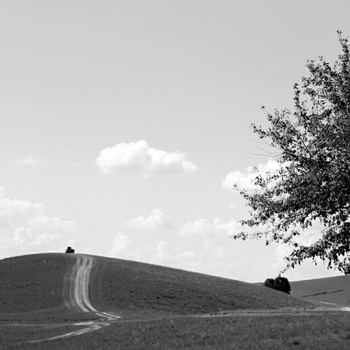 相恋在风中荡漾的日子
