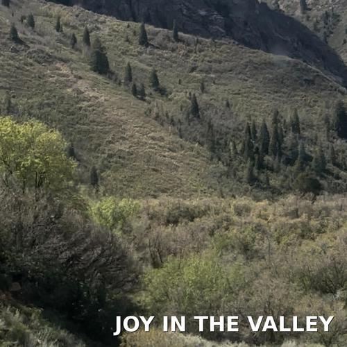 Joy in the Valley