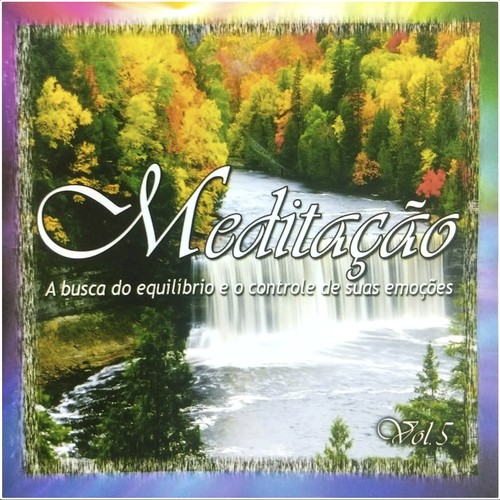 Meditação (A Busca do Equilíbrio e o Controle de suas Emoções - Vol. 5)