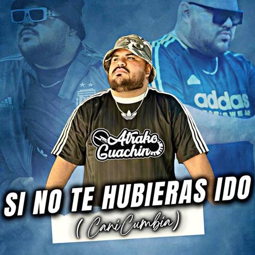 Si No Te Hubieras Ido