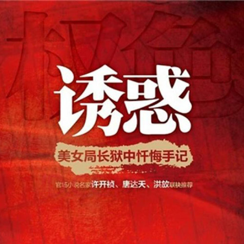 诱惑：美女局长狱中忏悔手记