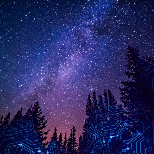 A Star's Dream