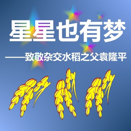 星星也有梦