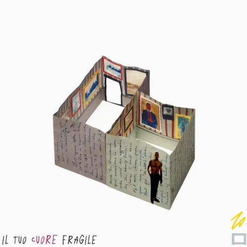 IL TUO CUORE FRAGILE
