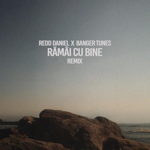 Rămâi cu bine (Remix)