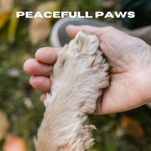 Peaceful Paws