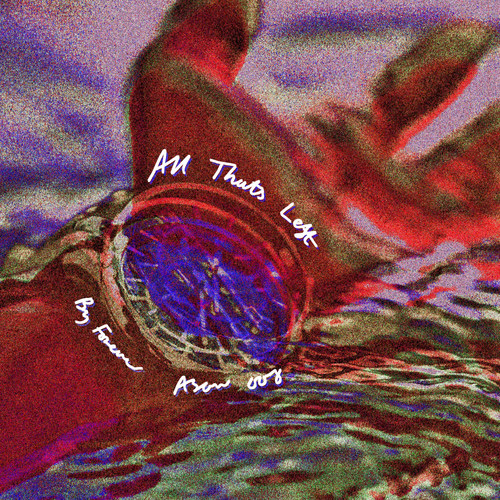 Asaw008: All That's Left