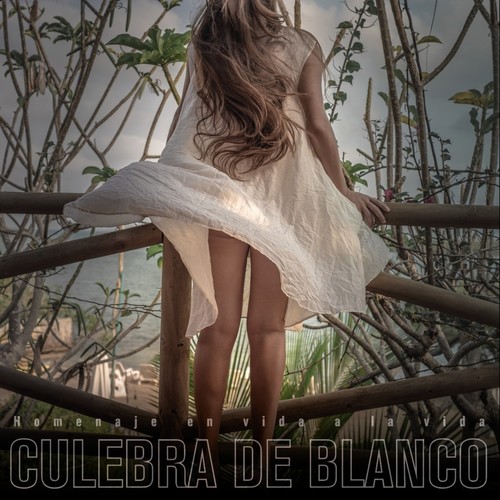 Culebra de Blanco
