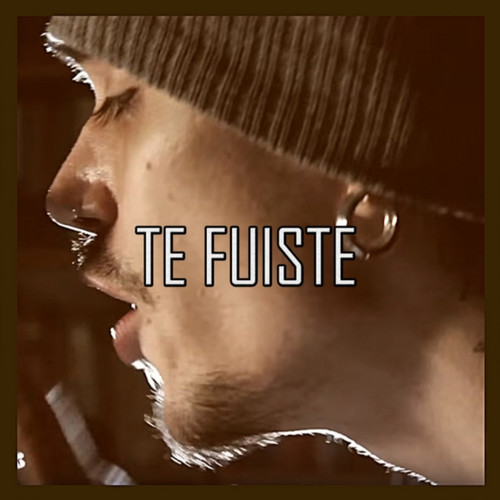 Te Fuiste (你走了)