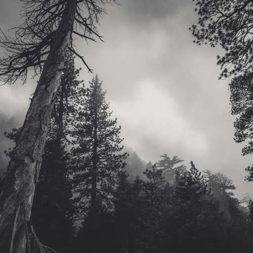 Ominous Tracks for a Nightmarish Party