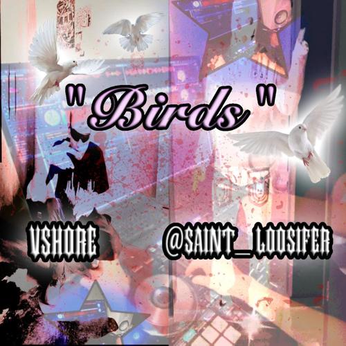 BIRDS (feat. VSHORE) [ORIGINAL MIX] [Explicit]