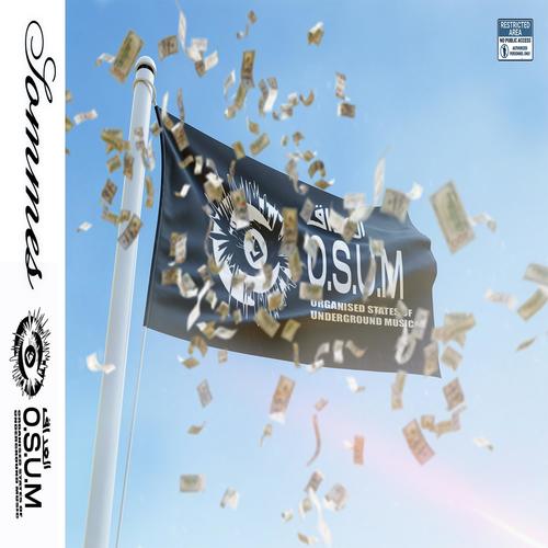 SOMMES (feat. Jey Chris) [Explicit]
