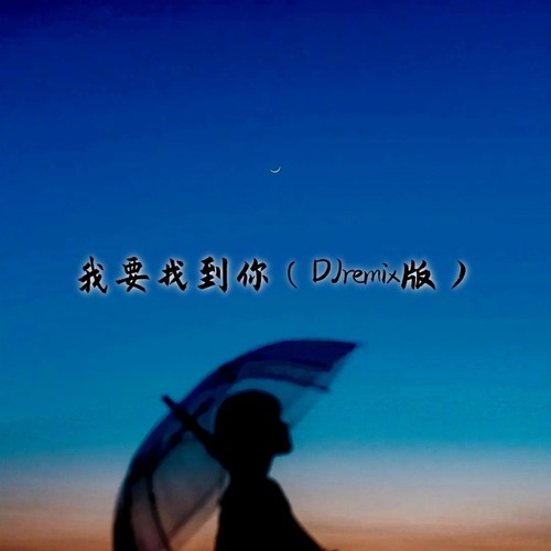 我要找到你（DJremix版）