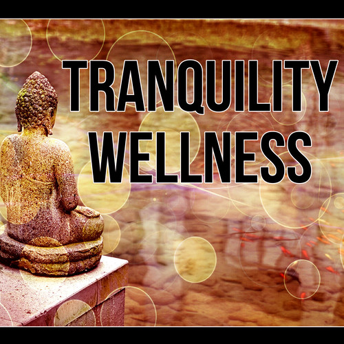 Tranquility Wellness - Music for Healing Through Sound, Peaceful Music, Music Background for Wellness, Ocean Waves, Massage Therapy, Mindfulness Meditation, Relaxing Track
